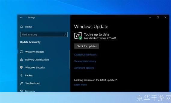 如何在Windows 10系统中使用64位版本