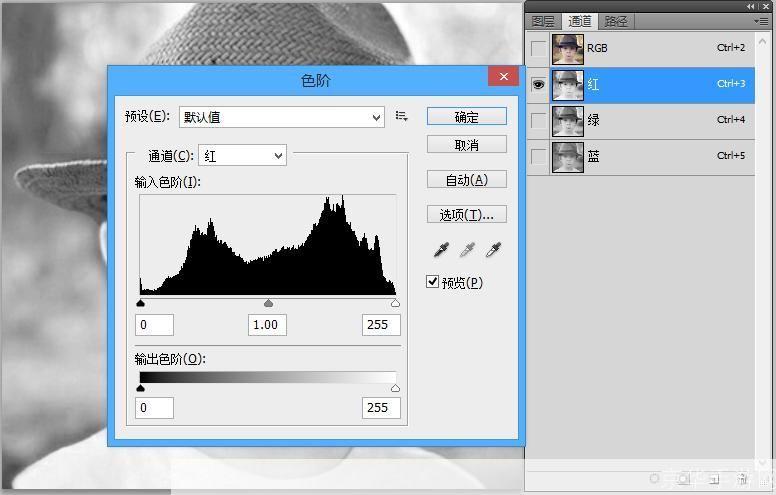 探索Photoshop中文版CS5的无限可能