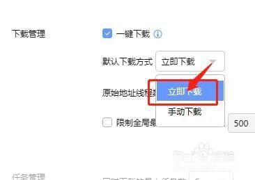 迅雷使用指南:如何高效下载和管理文件
