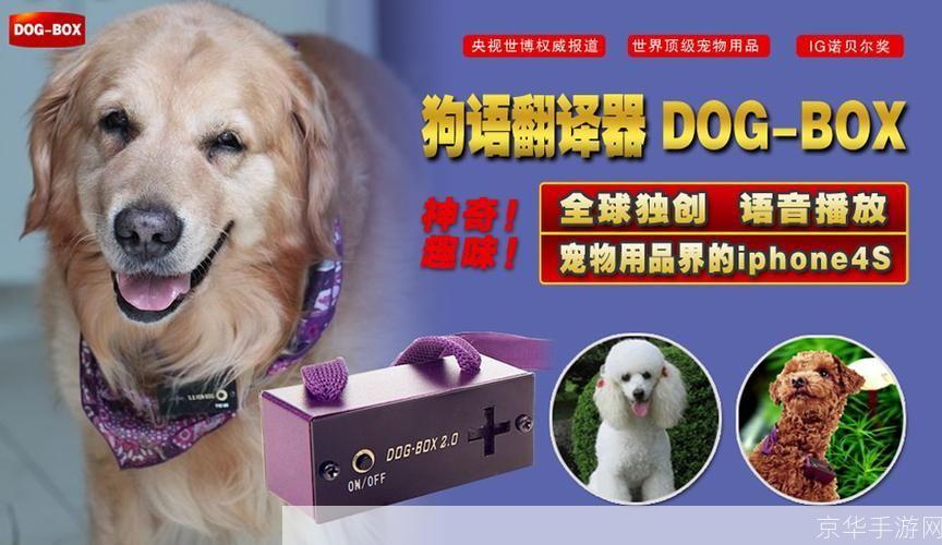 狗语言翻译器:揭秘宠物狗的沟通秘密