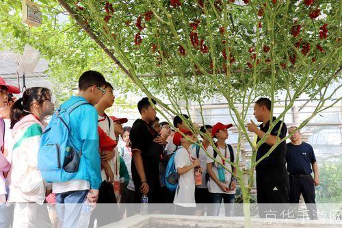 稞麦综合视频:探索农业科技的无限可能