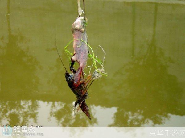 河洛垂钓技巧与方法详解