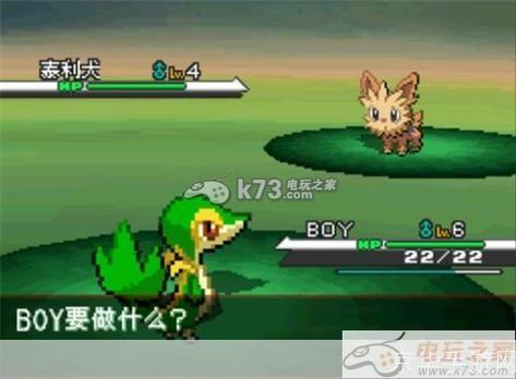 口袋妖怪黑白汉化版: 口袋妖怪黑白汉化版:探索未知的冒险之旅