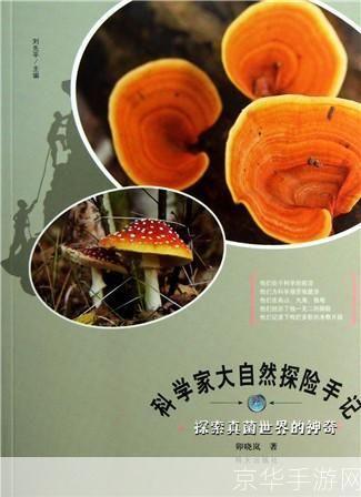 探索真菌世界的奥秘:如何利用真菌进行生物科技研究