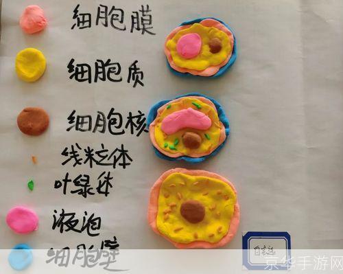 探索真菌世界的奥秘:如何利用真菌进行生物科技研究