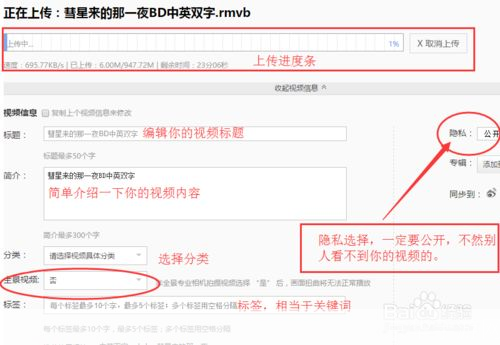 搜狐视频怎么用: 详细指南：如何有效使用搜狐视频
