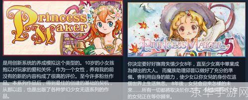 美少女梦工厂5游戏指南:如何有效使用
