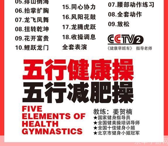五行健康操安装: 五行健康操安装指南:打造你的家庭健身空间