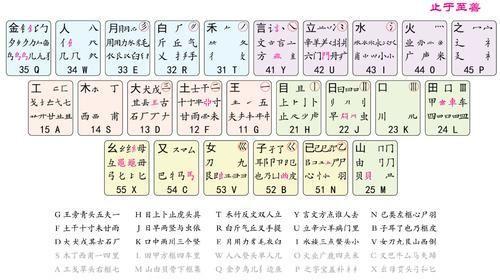 QQ五笔输入法2015官方版使用教程
