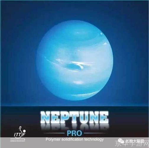 详细步骤指南:如何安装海王星软件