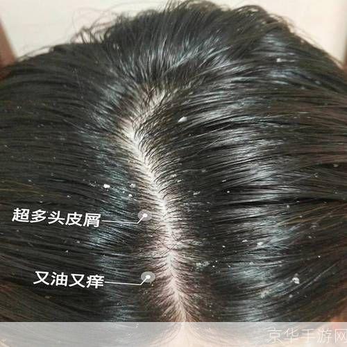 一步步教你如何使用泡泡吧