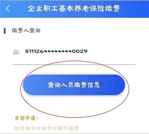 四川e社保app安装教程:从官网到手机的步骤详解