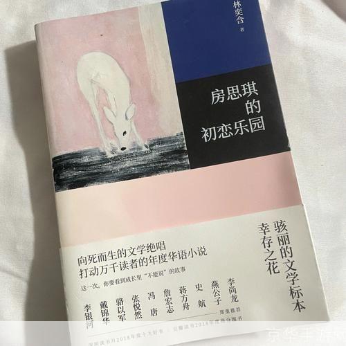 房思琪的初恋乐园：如何运用在现实生活中