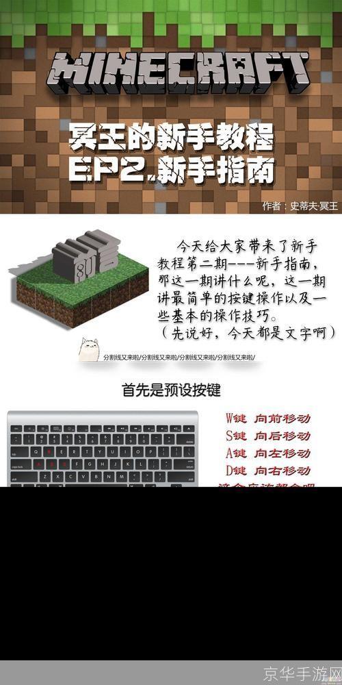 掌握软件使用技巧:从新手到专家的全面指南