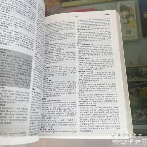 英语词典怎么用: 英语词典的使用方法和技巧