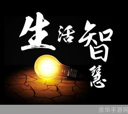 大家庭的生活智慧:如何有效管理和协调