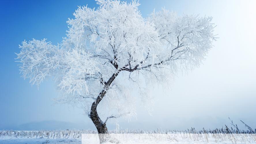桌面下雪软件: 桌面下雪软件:让你的电脑屏幕变身冬季仙境