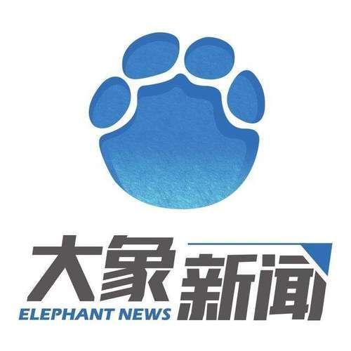 大象新闻怎么用: 大象新闻APP使用指南:如何获取最新、最准确的新闻资讯