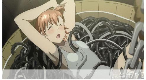 触手动漫安装教程:一步步教你如何轻松安装
