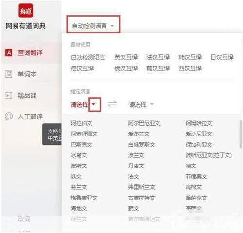 有道词典官方使用指南