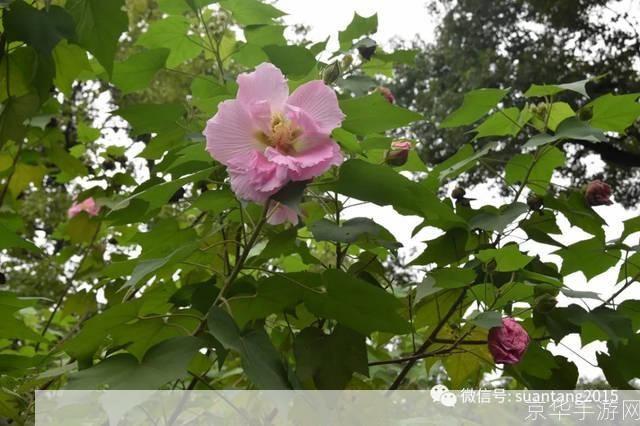 详细步骤指南:如何安装和使用聚宝库