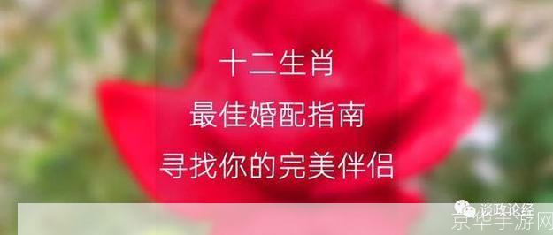 恒泰金玉满堂: 恒泰金玉满堂:传承千年的财富智慧