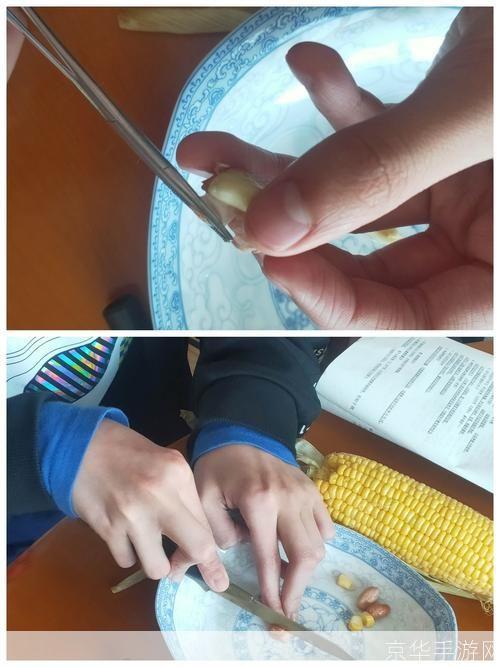 种子怎么用器: 种子的使用方法与器具选择