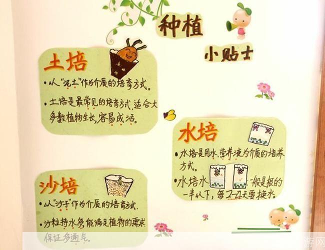 种子怎么用器: 种子的使用方法与器具选择