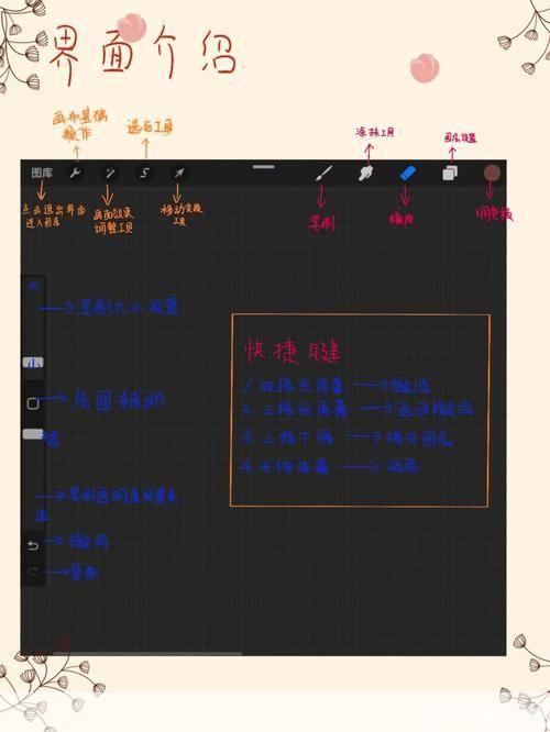 Procreate使用指南:从入门到精通