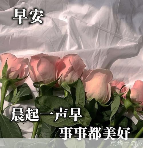 详解牵挂安装步骤,让关爱无处不在
