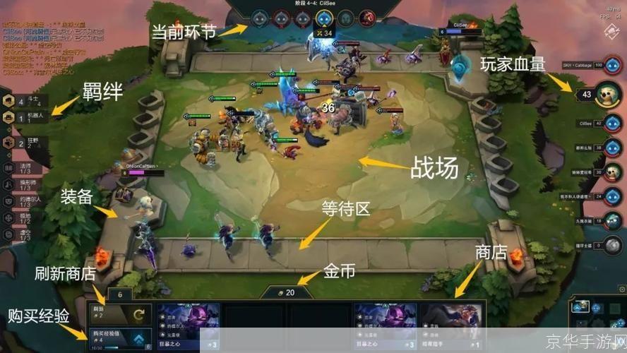 云顶之弈手游新手指南:从入门到精通