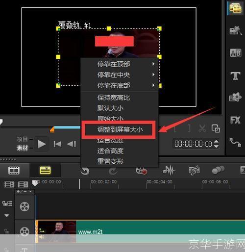 会声会影教程怎么用: 会声会影教程:一步步教你如何制作专业级视频