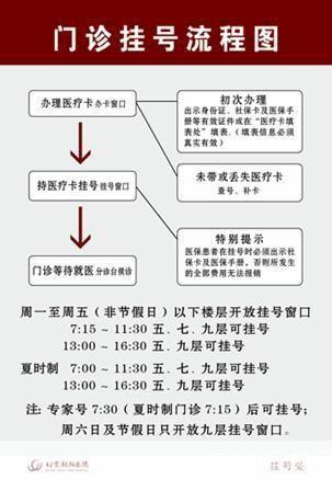 详细步骤指南:如何安装和运行主题医院3