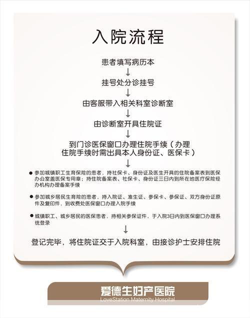 详细步骤指南：如何安装和运行主题医院3
