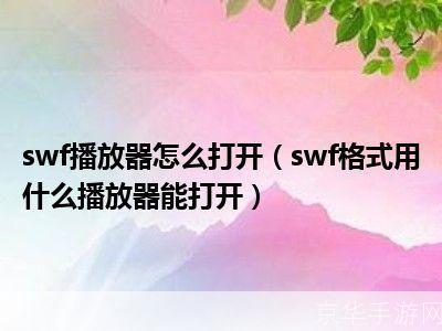 如何使用SWF播放器
