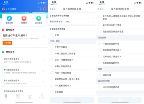 个人所得税app官方版——您的个人税务管理专家