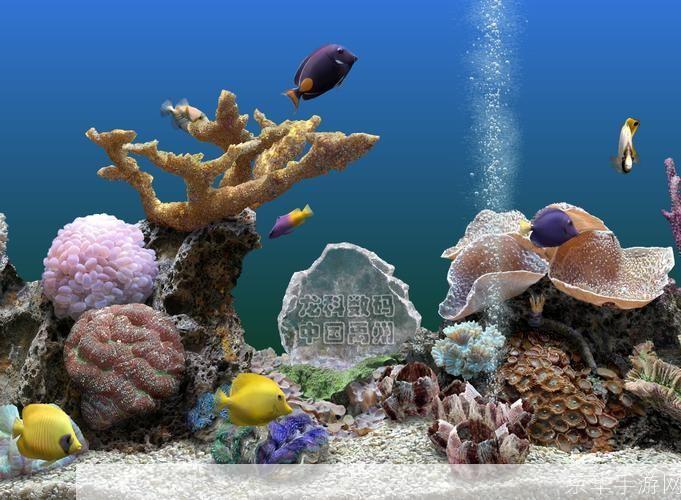 水族馆屏保的使用方法详解
