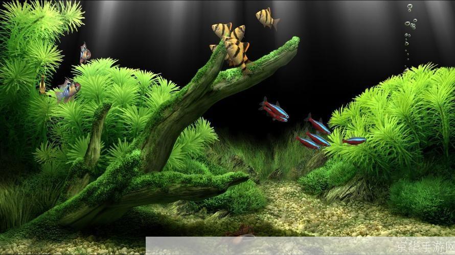 水族馆屏保的使用方法详解