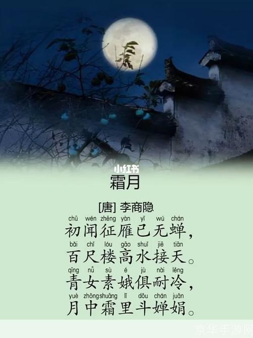唐诗三百首视频的使用方法与学习技巧