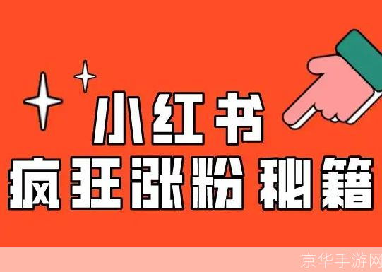 小红书无法正常使用?这里有解决方案!