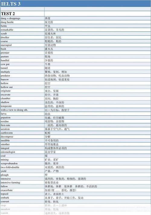 雅思词汇的安装与应用