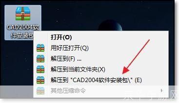 详细步骤指南：如何安装CAD2004