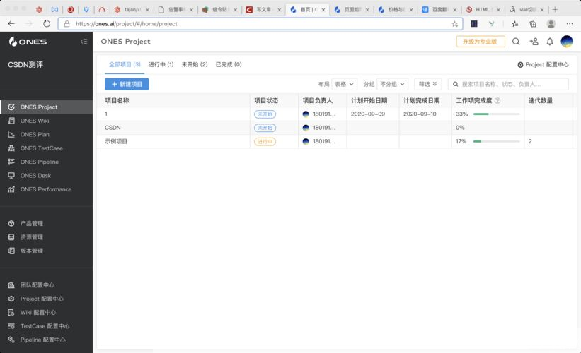 ones中文版: Ones中文版:实现高效、便捷的项目管理