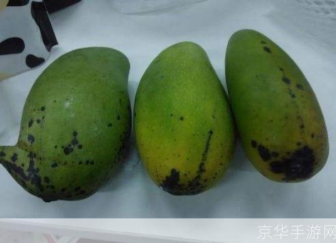 绿芒果xp系统怎么安装: 详细步骤指南:如何安装绿芒果XP系统