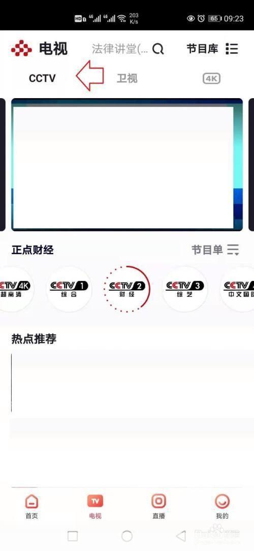中央网络电视台怎么用: 中央网络电视台的使用方法详解