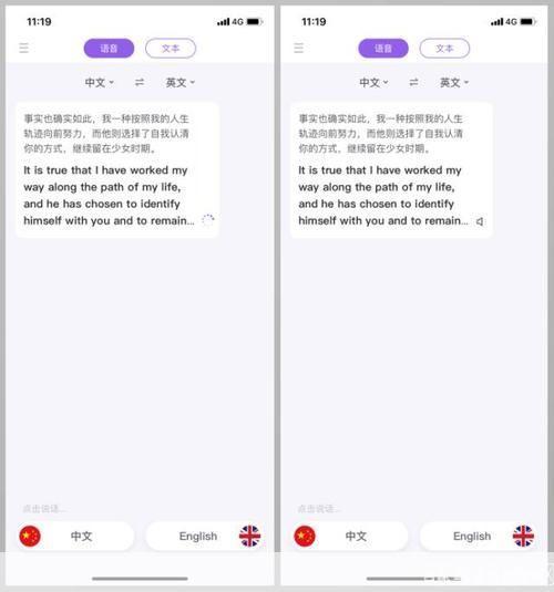 探索中文英文转换器的使用与优势