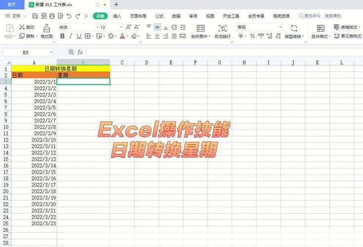 掌握Excel办公软件的实用技巧
