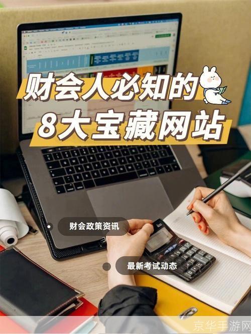 财会软件怎么用: 掌握财会软件的使用技巧:从入门到精通