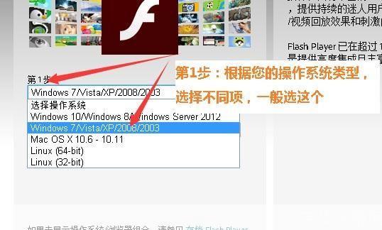 adobeflashplayer官方怎么用: Adobe Flash Player官方使用指南