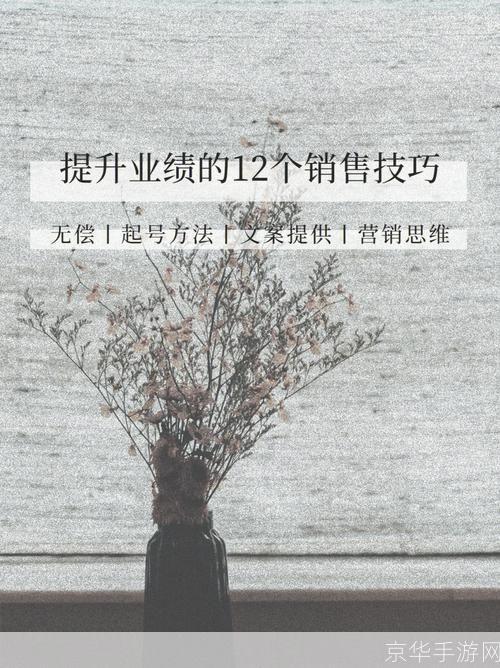 视频广告的运用策略:如何有效提升品牌知名度和销售业绩